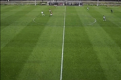 岁的加布里 岁的加布里