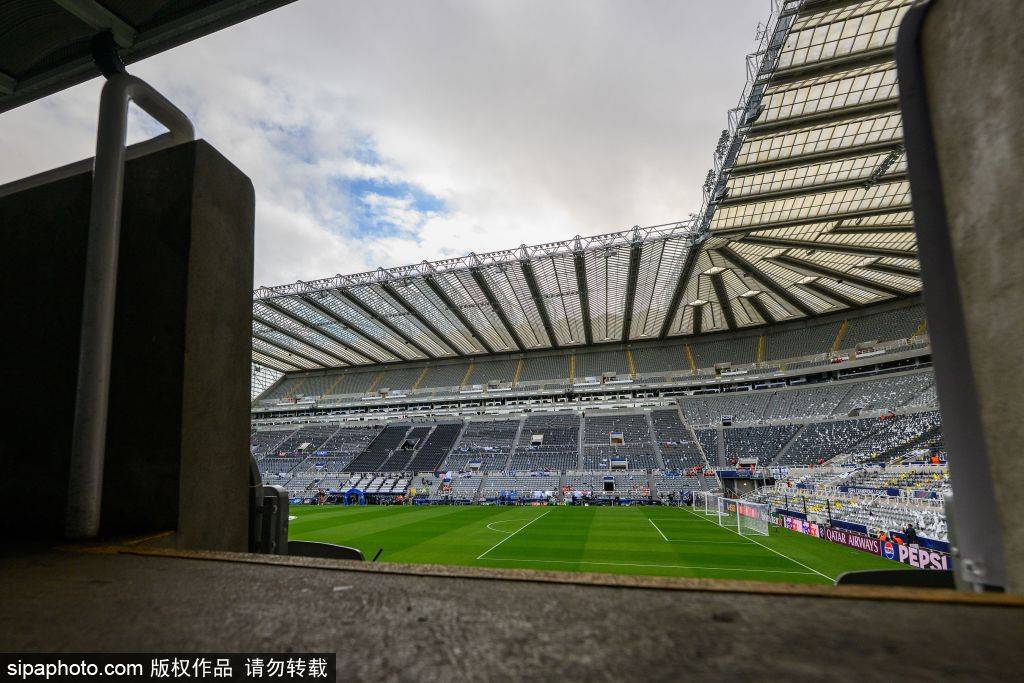 发表自己的 发表自己的