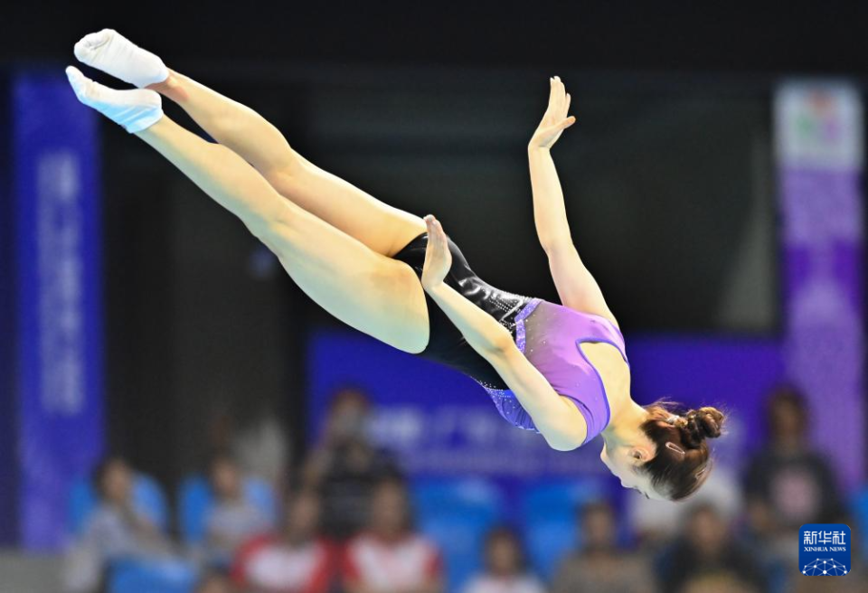 第十五届全, NLGll 第十五届全, NLGll