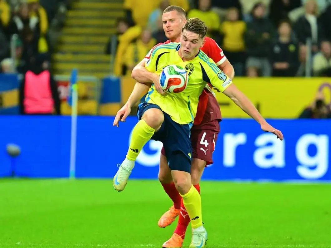 部和国家队 部和国家队