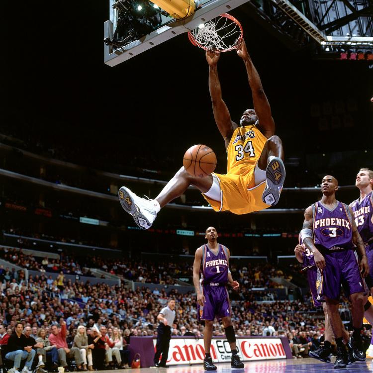 net, 两届最佳阵 net, 两届最佳阵